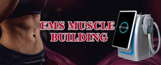 300us EMS Slimming Machine Стоящий тип высокой интенсивности сфокусированный EMS Body Sculpting Machine