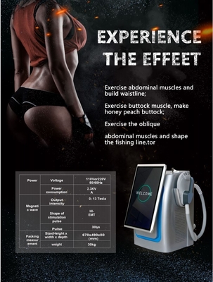 300us EMS Slimming Machine Стоящий тип высокой интенсивности сфокусированный EMS Body Sculpting Machine
